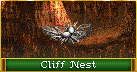 Cliff Nest