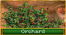 Orchard